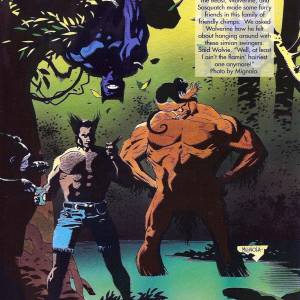 mss1992issue001b.jpg